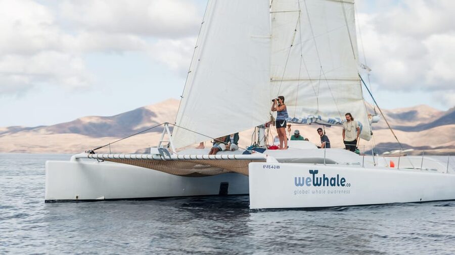 Lanzarote: Whale and Dolphin Watching Eco-Friendly Catamaran - The hydrophone adds sound to the wildlife search