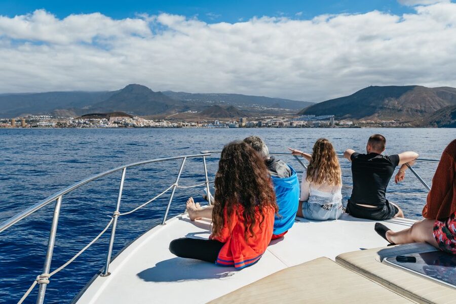 Las Galletas: Whale & Dolphin Tour with Local Skipper - Should you book the Las Galletas whale tour?