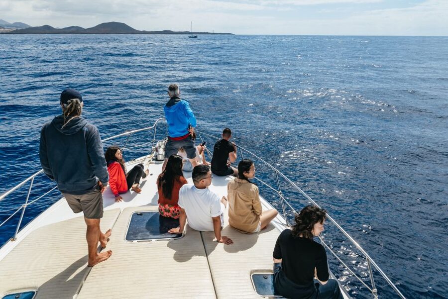 Las Galletas: Whale & Dolphin Tour with Local Skipper - Anchoring for a swim and snorkel