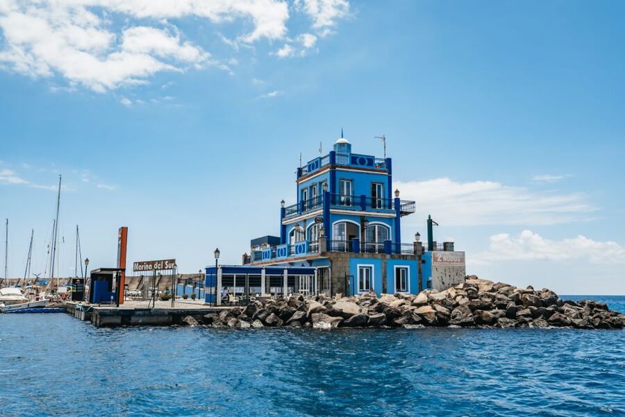 Las Galletas: Whale & Dolphin Tour with Local Skipper - What the $69 price really includes