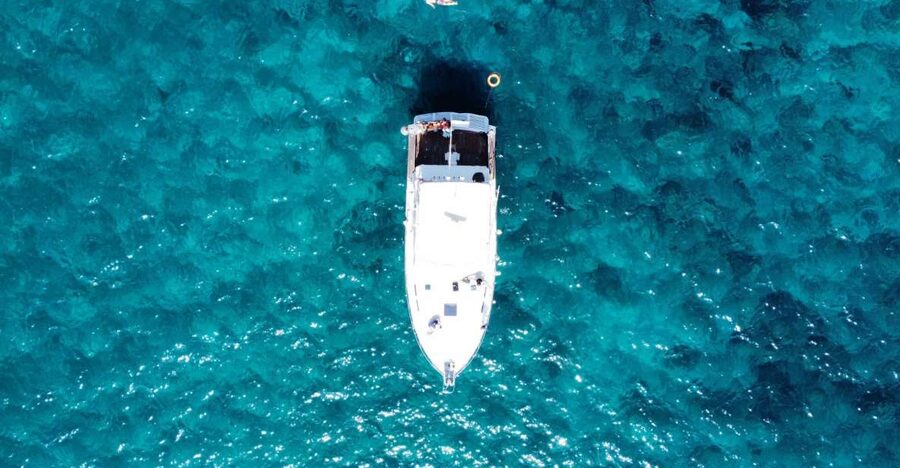 Las Galletas: Whale & Dolphin Tour with Local Skipper - Who will enjoy this cruise most