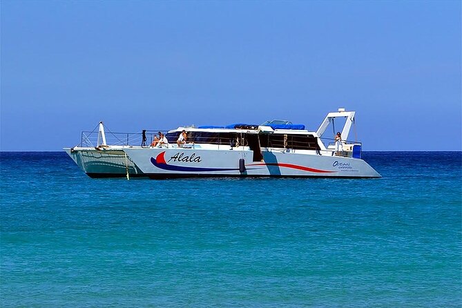 Late-Morning Whale Watch on our Power Catamaran - Snacks, tropical drinks, beer, and wine