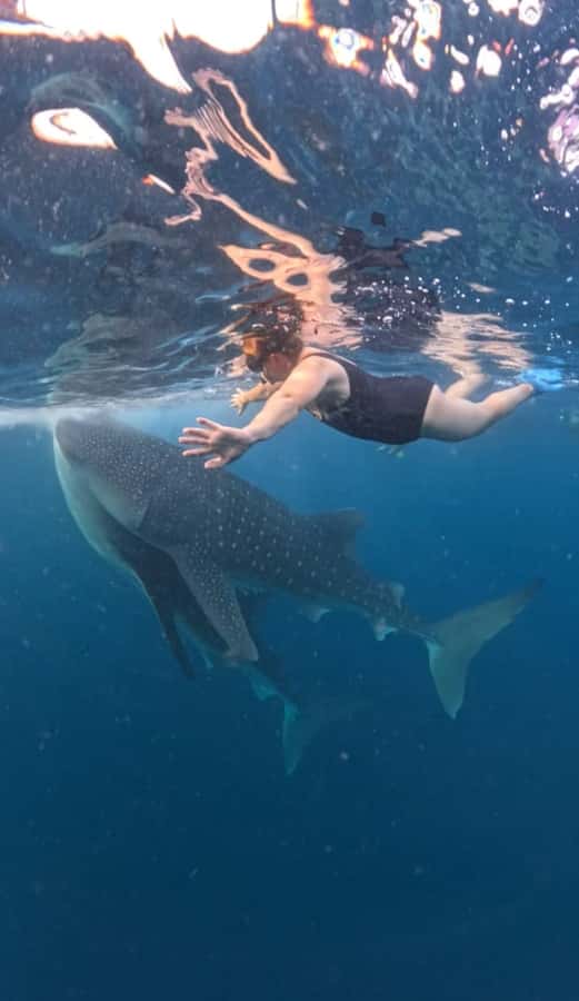Lombok : Sharing Whale Shark Tour 2 Day 1 Night Sumbawa - Why this tour is really a Sumbawa journey