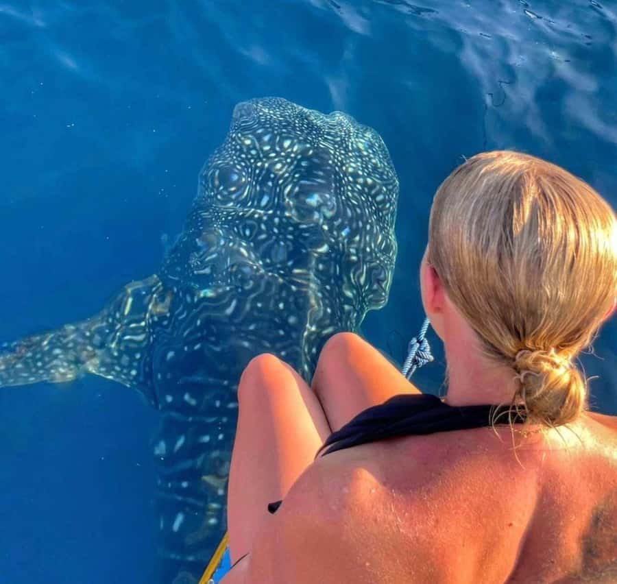 Lombok : Sharing Whale Shark Tour 2 Day 1 Night Sumbawa - An evening in Labuan Jambu
