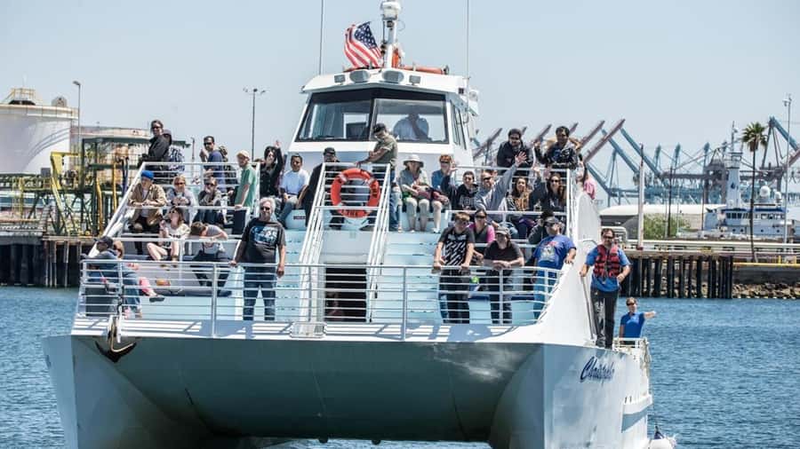 Long Beach: Whale and Dolphin Watching Cruise - Should You Book the Long Beach Whale Cruise?