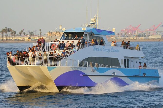 Los Angeles Whale and Dolphin Watching Cruise from West Harbor - What the catamaran is like at sea