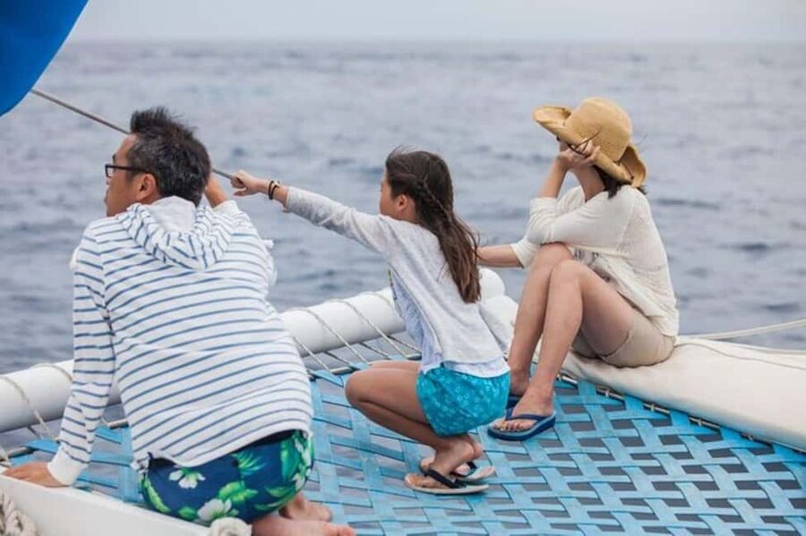 Los Cabos: Catamaran Whale Watching Cruise - Food, snacks, and the domestic open bar