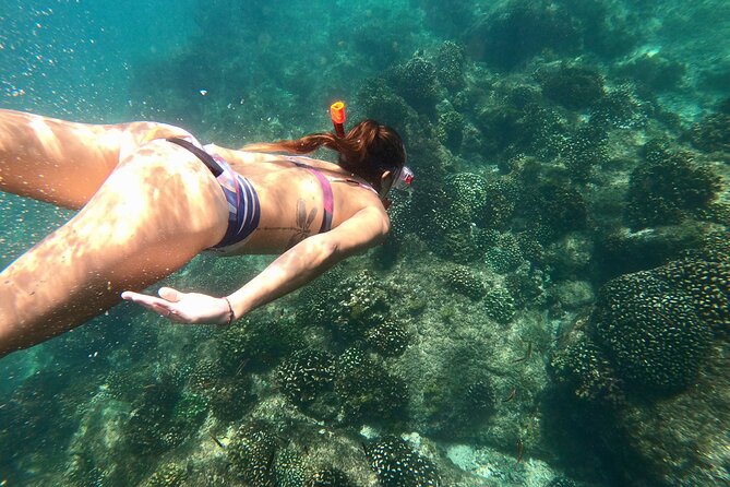 Los Cabos Seasonal Whale Watch and Snorkel Tour - Leaving the Marina at 10:00