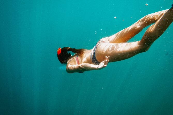 Los Cabos Seasonal Whale Watch and Snorkel Tour - The Catamaran Ride and Cabo’s Arch