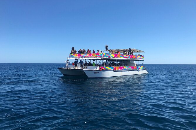 Los Cabos Whale Watching Cruise Including Breakfast - Who will enjoy this cruise most