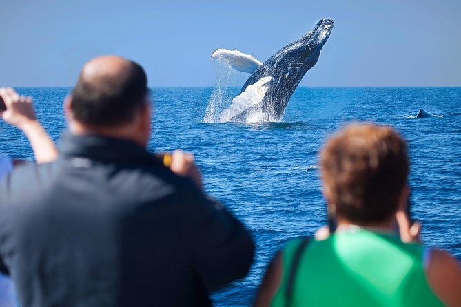 Los Cabos Whale Watching Cruise Including Breakfast - Cabo’s Arch and Lovers Beach from the water