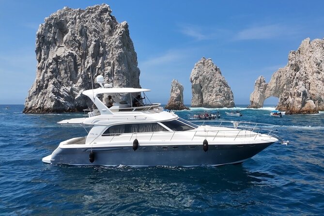 Los Cabos Whale Watching & Snorkel Adventure with Food & Drinks - Whale watching with a realistic expectation