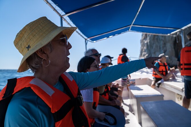 Los Cabos Whale Watching (Transportation and Pictures Included) - Is the $90 price fair?