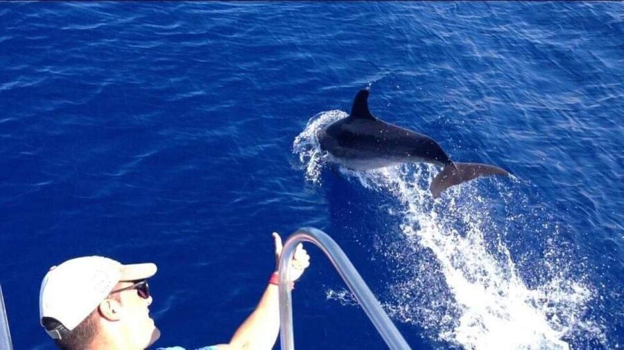 Los Cristianos: Eco Yacht Whale Watching Tour at Sunset - Practical tips for a better evening