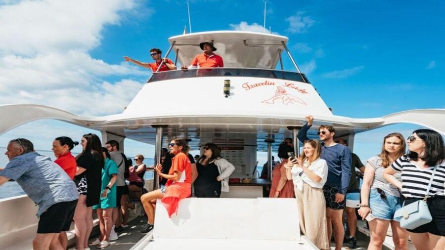 Los Cristianos: Eco Yacht Whale Watching Tour at Sunset - Why this sunset cruise works so well