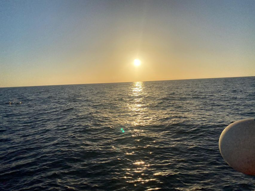 Los Cristianos: Eco Yacht Whale Watching Tour at Sunset - How much value do you get for $17?