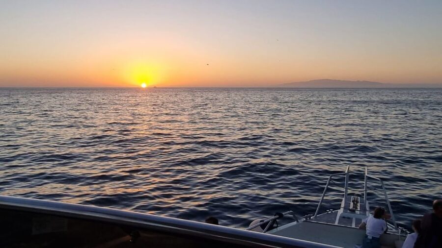 Los Cristianos: Eco Yacht Whale Watching Tour at Sunset - Who will enjoy this trip most?