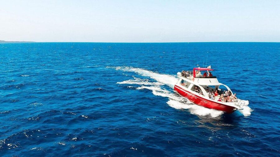 Los Cristianos: Eco Yacht Whale Watching Tour at Sunset - The Travelin Lady: a boat made for the job