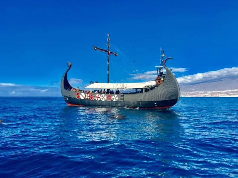 Los Cristianos: Whale Watching Cruise w/Swim Stop & Drinks - A Viking ship with real wildlife in Tenerife