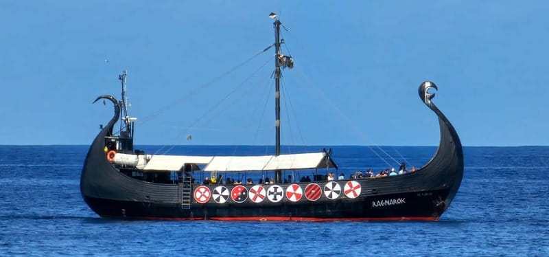 Los Cristianos: Whale Watching Cruise w/Swim Stop & Drinks - Is $91 good value for three hours?