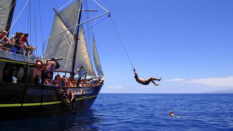 Los Gigantes: Dolphin & Whale Watching Tour on a Pirate Boat - Choosing between two hours and three