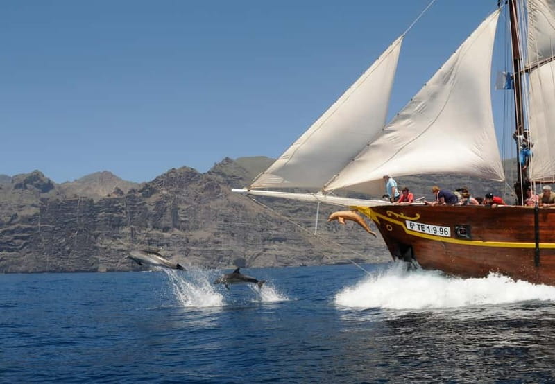 Los Gigantes: Dolphin & Whale Watching Tour on a Pirate Boat - Searching for dolphins and pilot whales