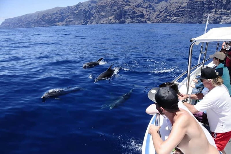Los Gigantes: Whale or Dolphin Watching Tour and Swim in Masca - Key points to know before you book