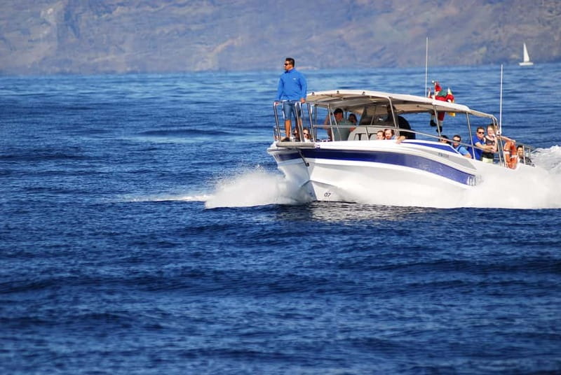 Los Gigantes: Whale or Dolphin Watching Tour and Swim in Masca - Why this short Los Gigantes trip works so well