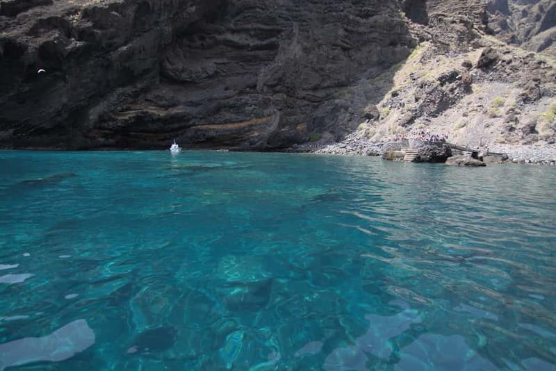 Los Gigantes: Whale or Dolphin Watching Tour and Swim in Masca - What the $33 price really covers