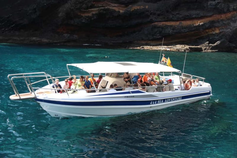 Los Gigantes: Whale or Dolphin Watching Tour and Swim in Masca - The 30-minute speedboat ride out from Los Gigantes