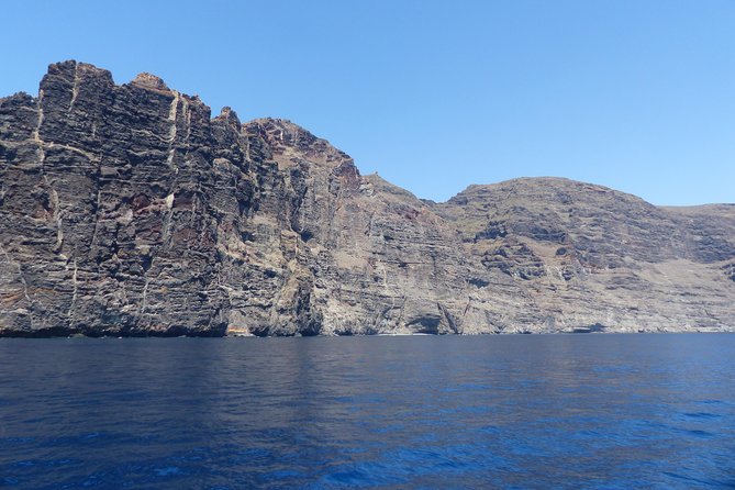 Los Gigantes Whale Watching Charter by Sail Boat - Why the 10-person limit changes the experience