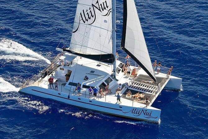 Luxury Catamaran Whale Watch - The two-hour search for humpback whales
