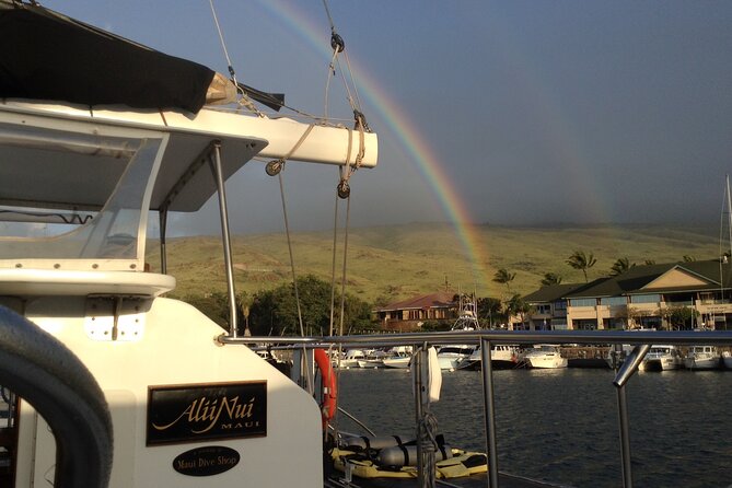Luxury Catamaran Whale Watch - Comfort for families, couples, and solo visitors