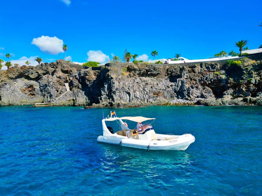 Luxury EcoMarine Safari – Whale & Dolphin Watching Adventure - The strongest reasons to choose it