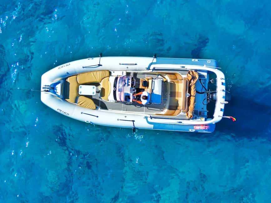 Luxury EcoMarine Safari – Whale & Dolphin Watching Adventure - The conservation angle matters