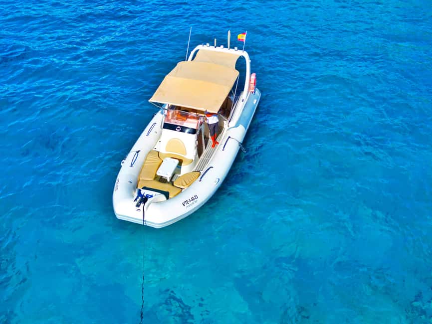 Luxury EcoMarine Safari – Whale & Dolphin Watching Adventure - Coastal sightseeing after the wildlife search