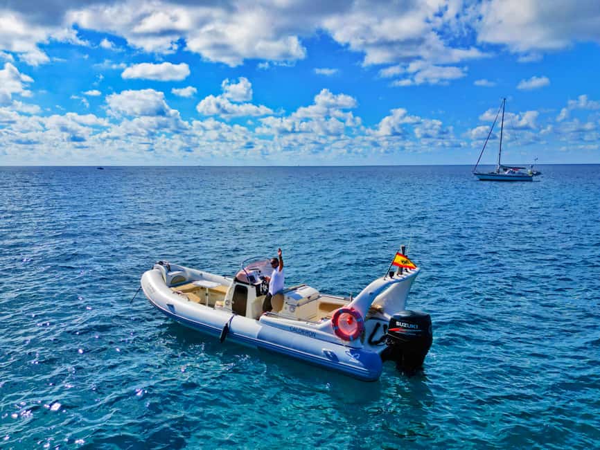 Luxury EcoMarine Safari – Whale & Dolphin Watching Adventure - Who should book this experience