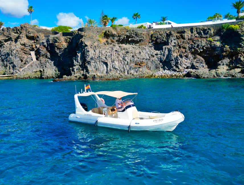 Luxury EcoMarine Safari – Whale & Dolphin Watching Adventure - What to bring and what to expect onboard