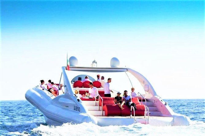 Luxury Opera 60 Whale & Dolphin Watching Experience - Key points to know before booking