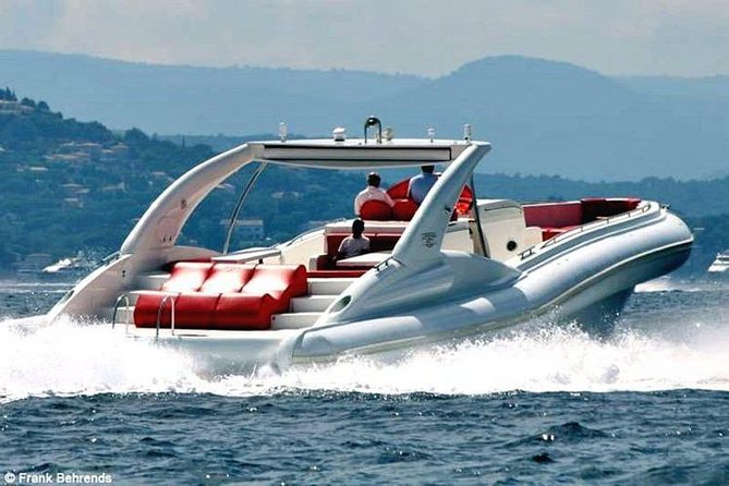 Luxury Opera 60 Whale & Dolphin Watching Experience - Why the Opera 60 feels different from a standard boat trip