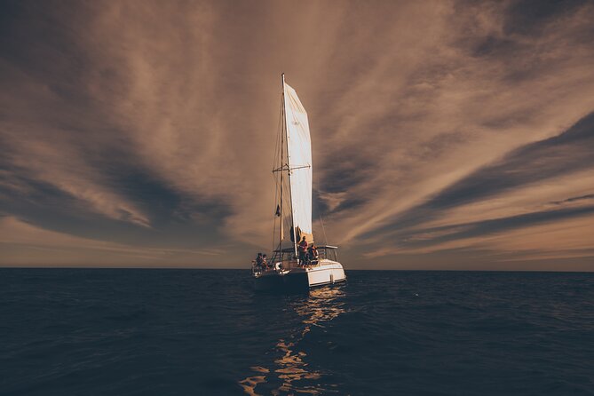Luxury Whale Watch Cruise to The Arch Los Cabos - A small catamaran makes whale watching easier