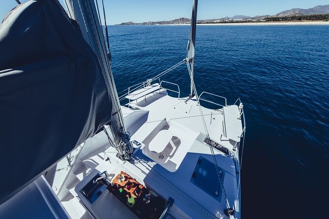 Luxury Whale Watch Cruise to The Arch Los Cabos - What the two-hour route actually does