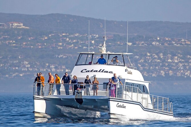 Luxury Whale Watching: Fewer People, Extra Speed, Expert Staff - Key things to know before sailing