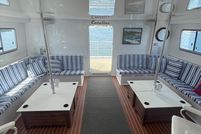 Luxury Whale Watching: Fewer People, Extra Speed, Expert Staff - Should you book the Catallac whale watch?