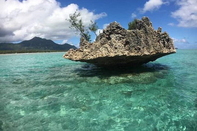 Lydia Boat Mauritius :Private boat tour:Whales&Dolphins encounter - The seafood meal is a real part of the value