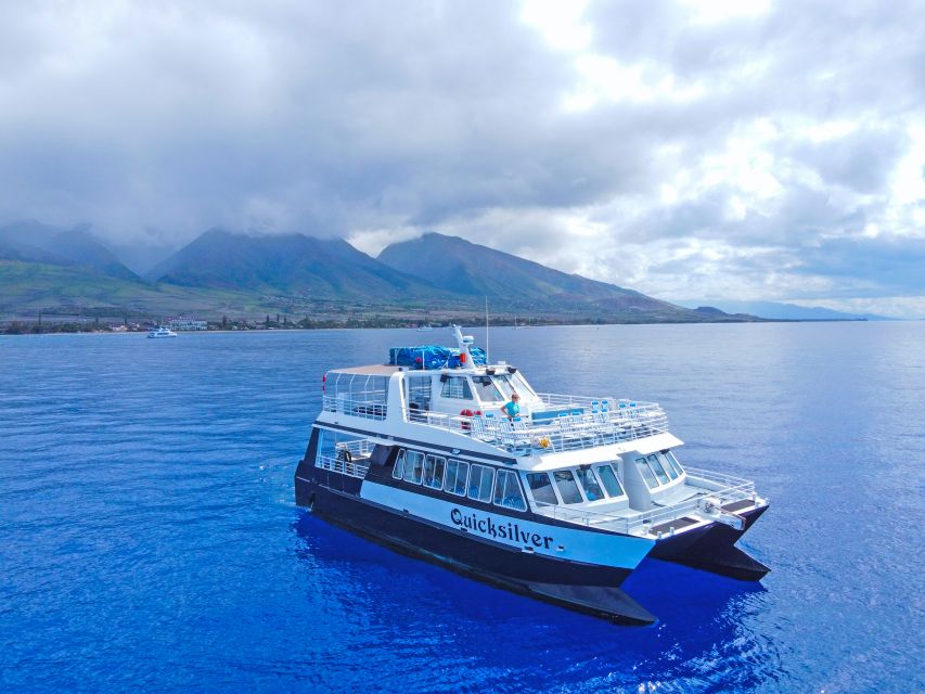 Ma'alaea Harbor: Whale Watching Tour Aboard Power Catamaran - Leaving from Maalaea Harbor