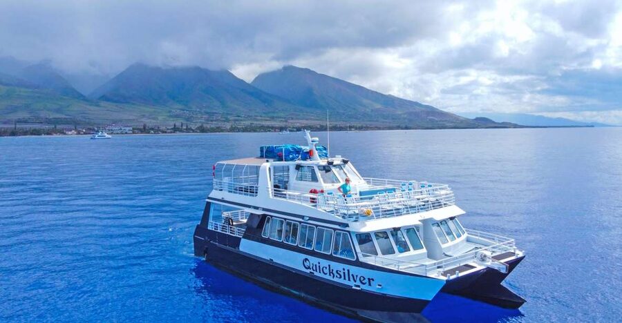 Ma'alaea Harbor: Whale Watching Tour Aboard Power Catamaran - A comfortable two-hour ride across Maalaea Bay