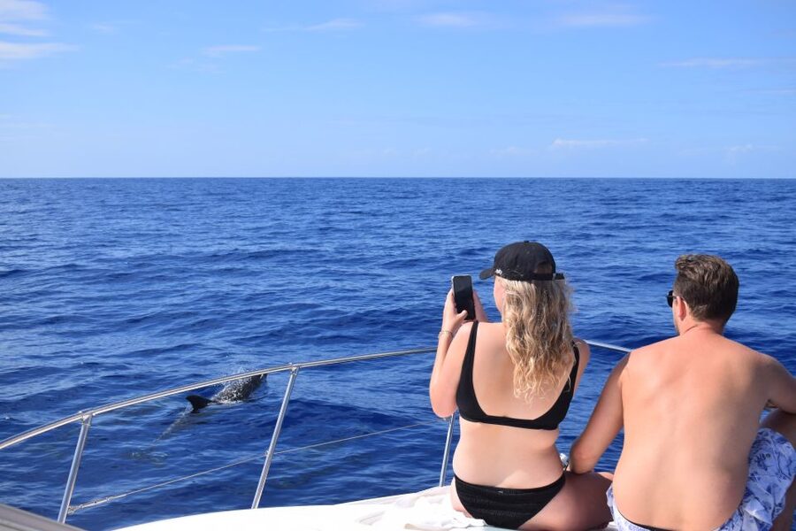 Madeira: 2.5-Hour Whale and Dolphin-Watching Cruise - Who will enjoy this trip most