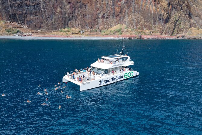 Madeira Dolphin and Whale Watching on a Ecological Catamaran - Setting out from Funchal on a purpose-built catamaran
