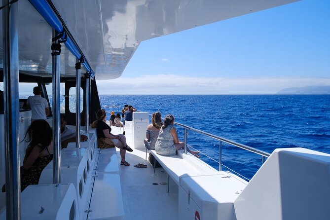 Madeira Dolphin and Whale Watching on a Ecological Catamaran - Comfort, spray, and the reality of the Atlantic